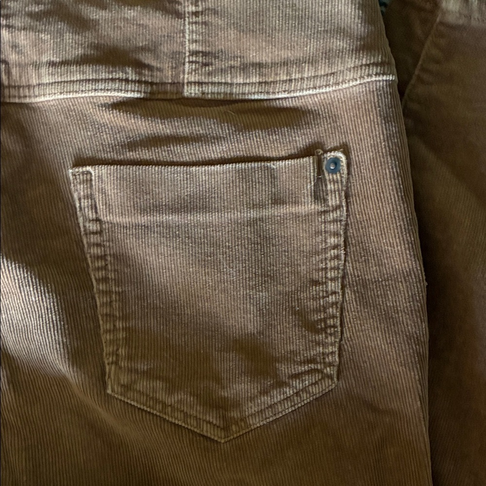 High-Rise Sculpting Skinny Corduroy Cotton Pant Beautiful Brown Size 19 Worn 1x - Picture 4 of 5